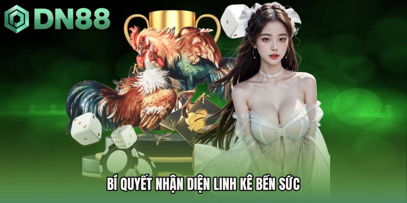Bí quyết nhận diện linh kê bền sức