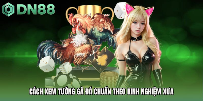Cách xem tướng gà đá chuẩn theo kinh nghiệm xưa