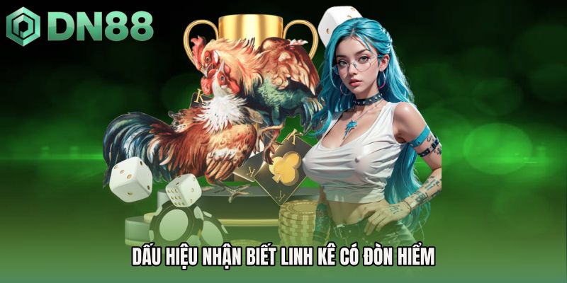 Dấu hiệu nhận biết linh kê có đòn hiểm