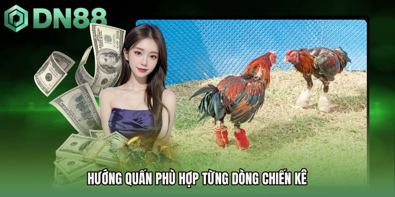 Hướng quấn phù hợp từng dòng chiến kê